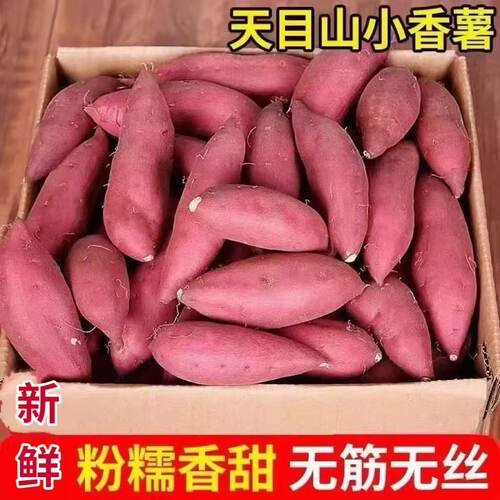 天目山小香薯番薯临安现挖现发