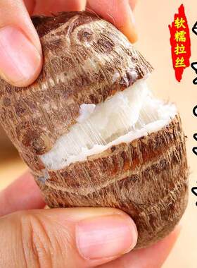 正宗山东牛奶小芋头新鲜农家自种