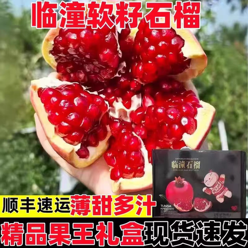 陕西临潼软籽石榴新鲜特大果礼盒
