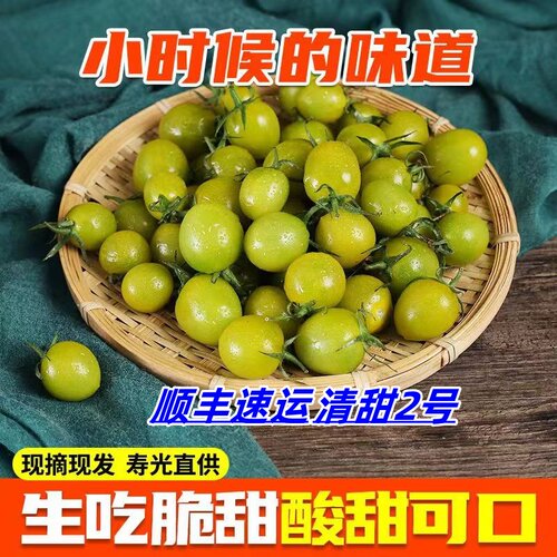 山东潍坊超甜青甜2号脆甜小番茄非青口蜜绿宝石圣女果小柿子顺丰