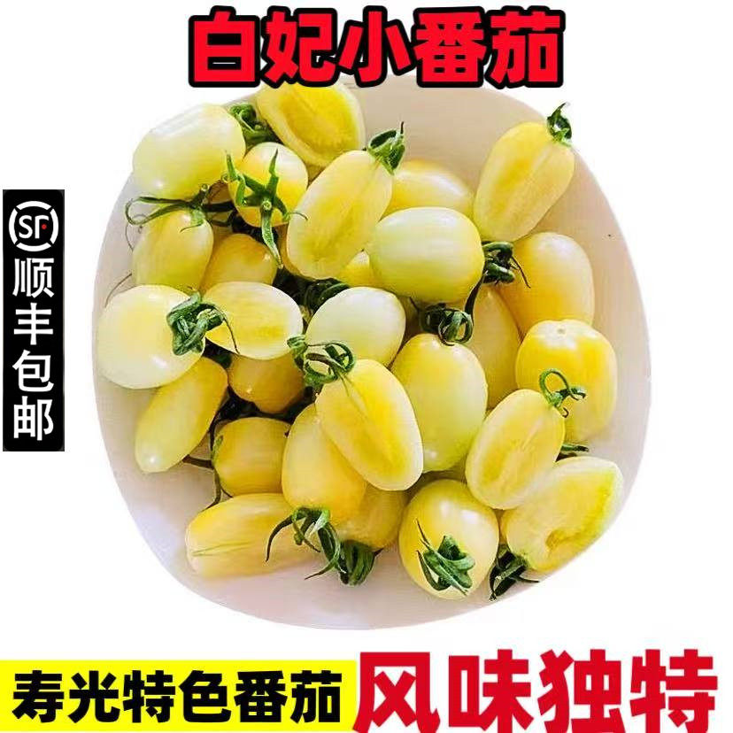 【顺丰包邮】白妃小番茄新鲜现摘奶油小柿子樱桃圣女果生吃西红柿