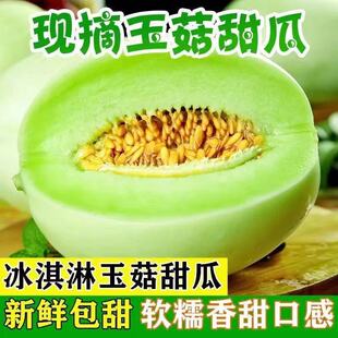 上海南汇玉菇甜瓜软糯香甜冰激凌玉菇甜瓜新鲜时令水果整箱玉茹