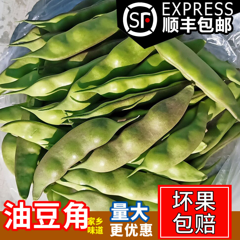 正宗东北油豆角现摘新鲜一点红当季新鲜蔬菜九月青面豆角开锅烂5,水产肉类/新鲜蔬果/熟食,新鲜豆类,淘宝优惠券,粉丝福利购,淘宝优惠卷
