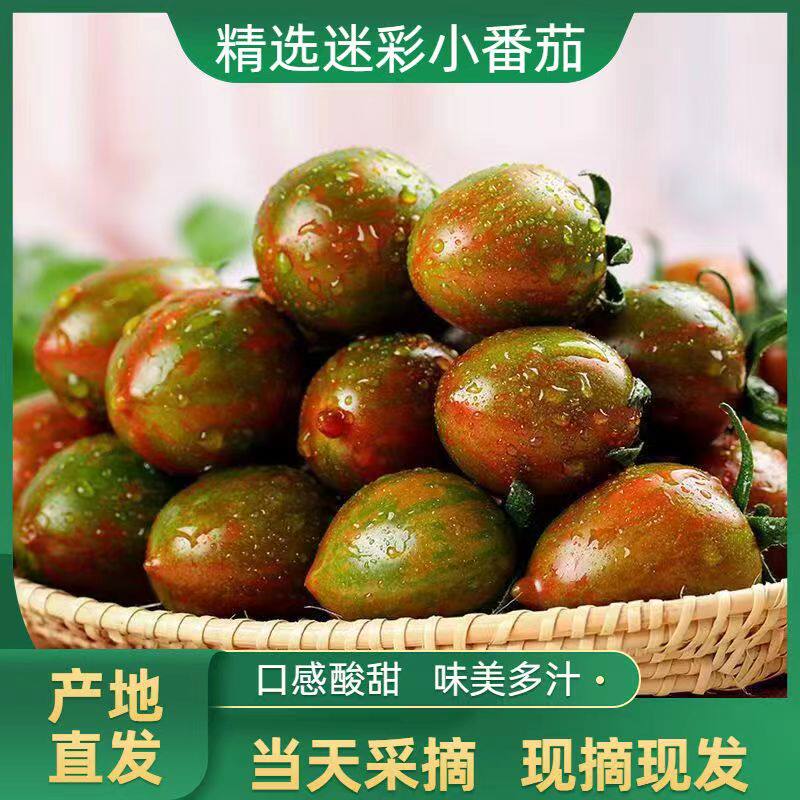 迷彩小番茄青甜2号圣女果黑紫葡萄新鲜铁皮小西红柿生吃玲珑水果