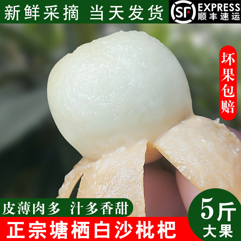 顺丰空运浙江杭州塘栖白玉枇杷官方旗舰店新鲜现摘塘西白沙琵琶