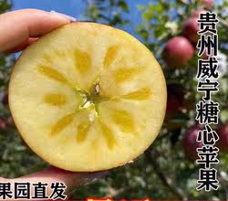 新鲜现摘贵州威宁苹果高山冰糖心丑苹果旗舰店脆甜多汁9斤大果