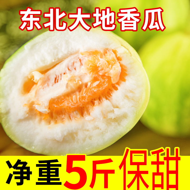 大地香瓜东北特产单念