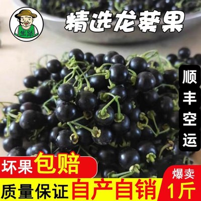 新鲜龙葵果顺丰空运现摘现发