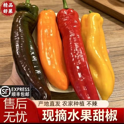顺丰新鲜水果甜椒生吃不辣脆嫩