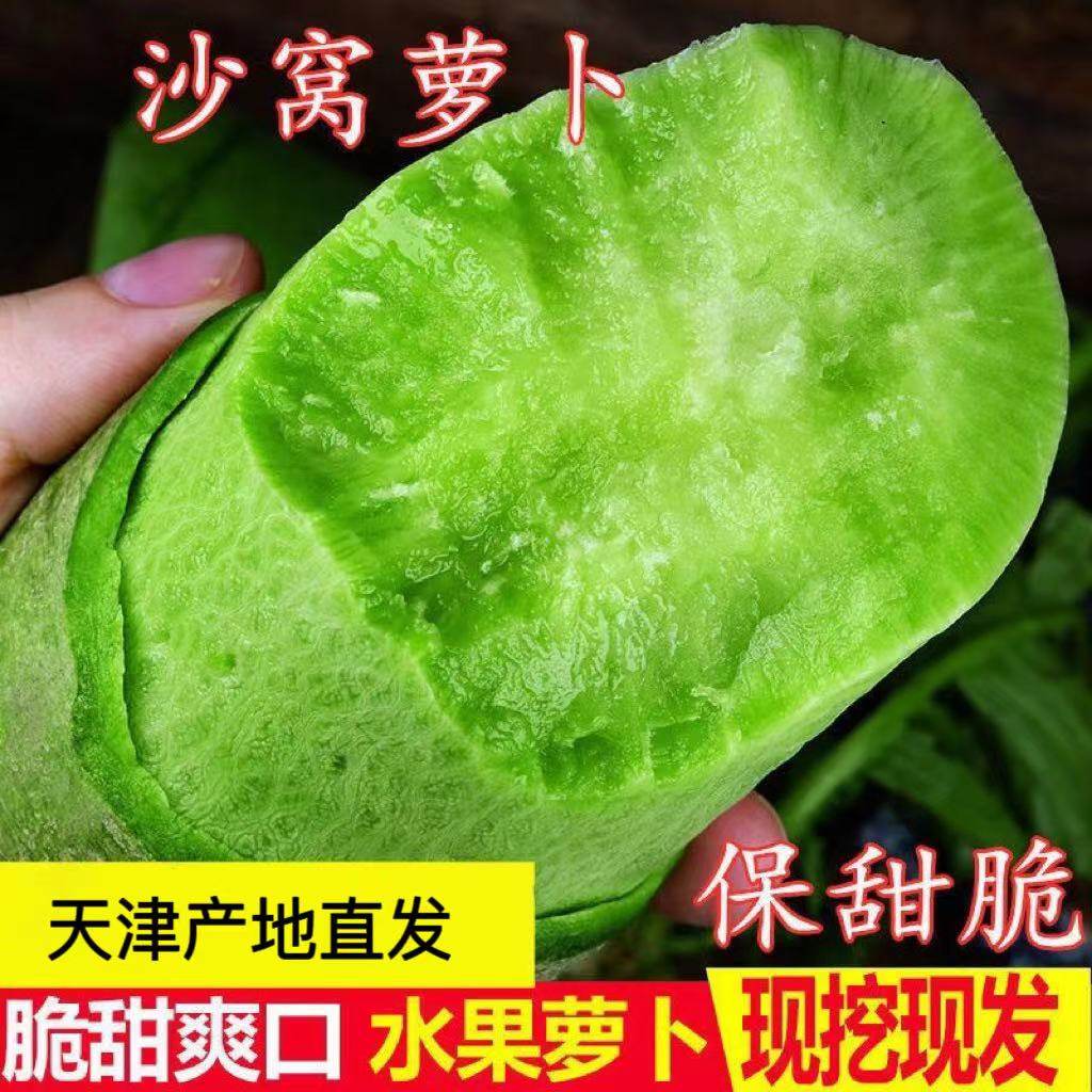 天津正宗沙窝萝卜绿色生吃脆甜水果型现拔5斤青萝卜新鲜蔬菜包邮,水产肉类/新鲜蔬果/熟食,萝卜/胡萝卜,淘宝优惠券,粉丝福利购,淘宝优惠卷