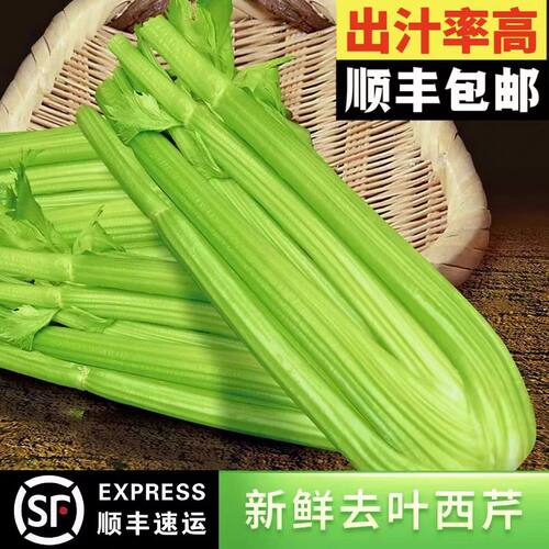 西芹专用榨汁西芹榨汁食用蔬菜