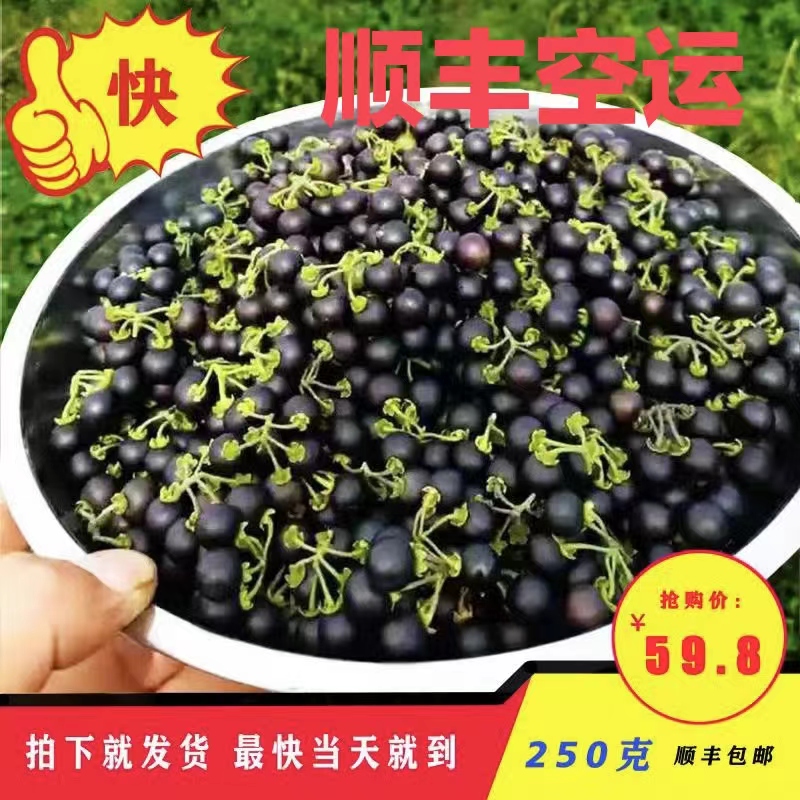 250克天茄子野葡萄悠悠龙葵果