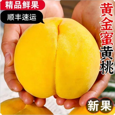 黄桃现摘新鲜5斤大毛桃顺丰礼盒
