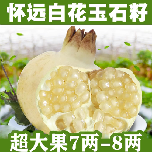 2026现摘正宗安徽怀远白石榴 白花白皮白玉石籽三白石榴水果礼盒