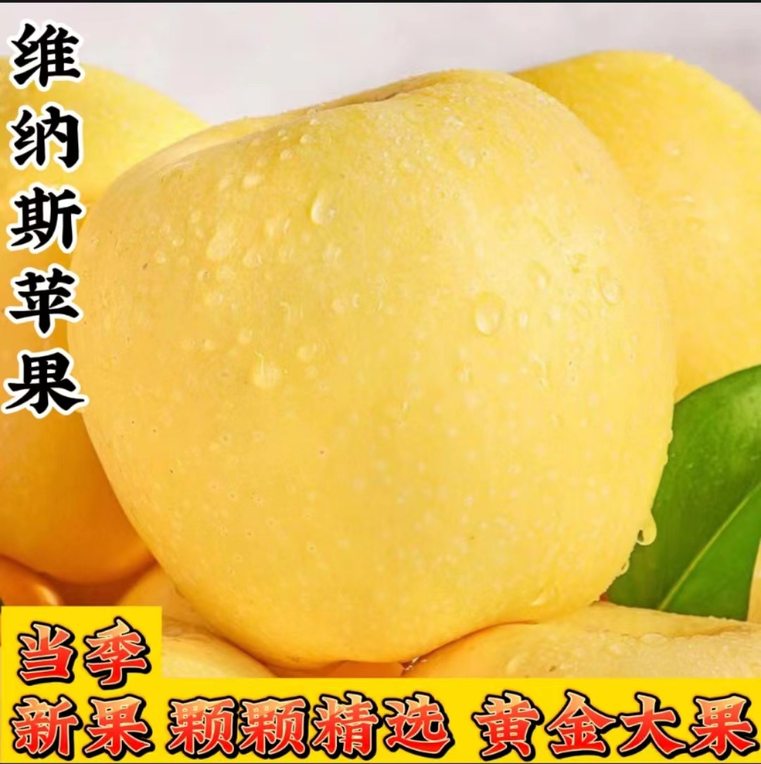 雀斑维纳斯黄金苹果正宗脆甜大果现摘新鲜丑苹果适合孕妇吃的水果,水产肉类/新鲜蔬果/熟食,苹果,淘宝优惠券,粉丝福利购,淘宝优惠卷