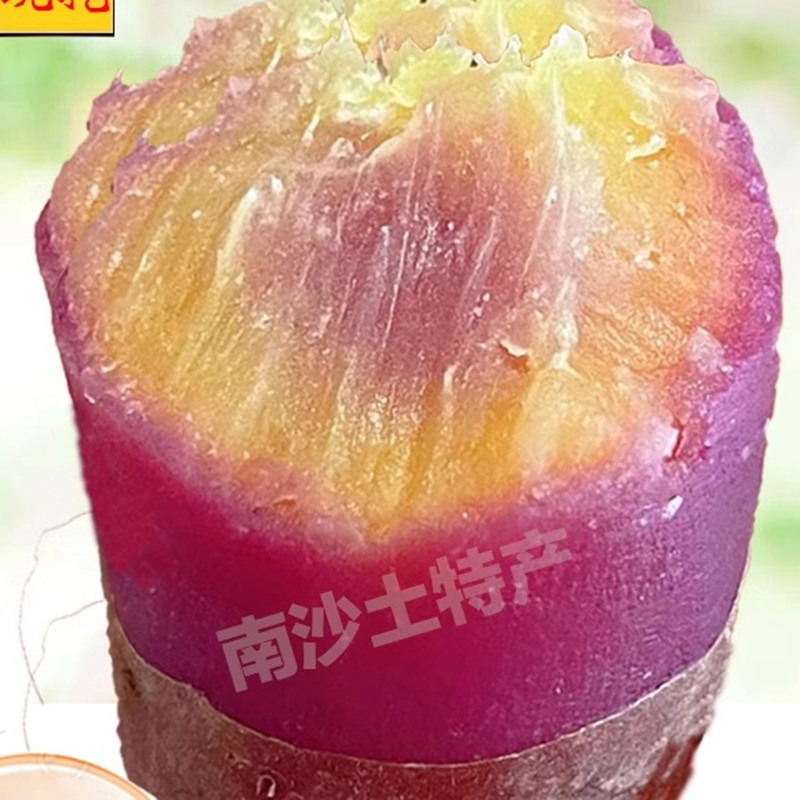 正宗广州干细胞番薯新鲜现挖