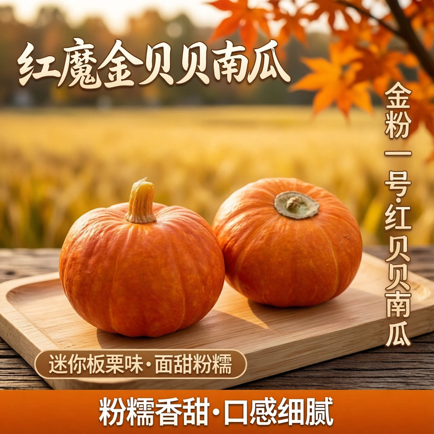 红魔金贝贝南瓜迷你板栗味红皮小南瓜面甜粉糯金粉一号红贝贝南瓜