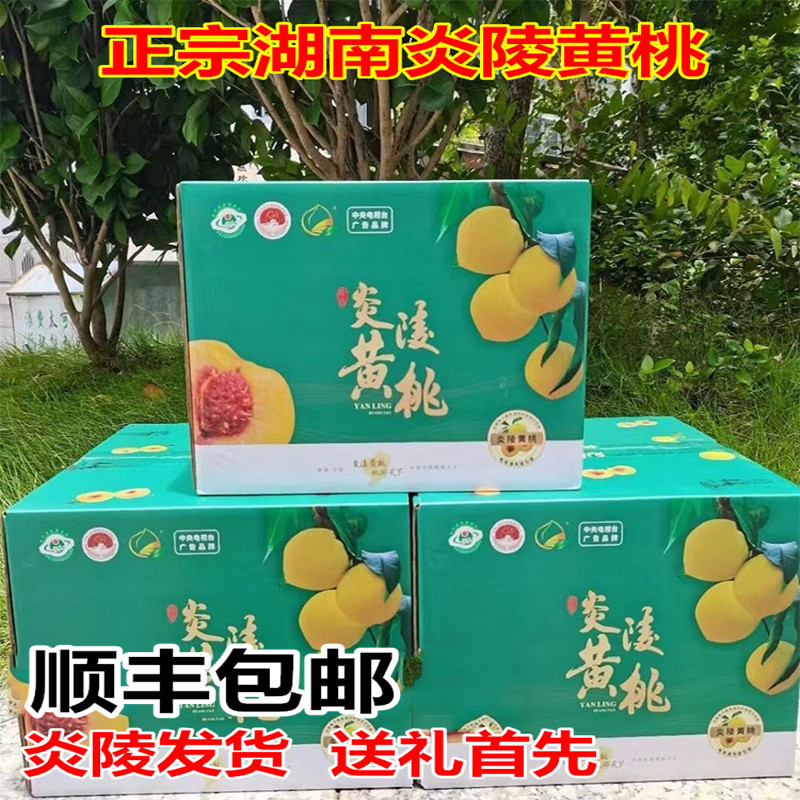 正宗湖南株洲特产炎陵黄桃旗舰店现摘现发当季黄桃新鲜水果10斤装 - 实物图