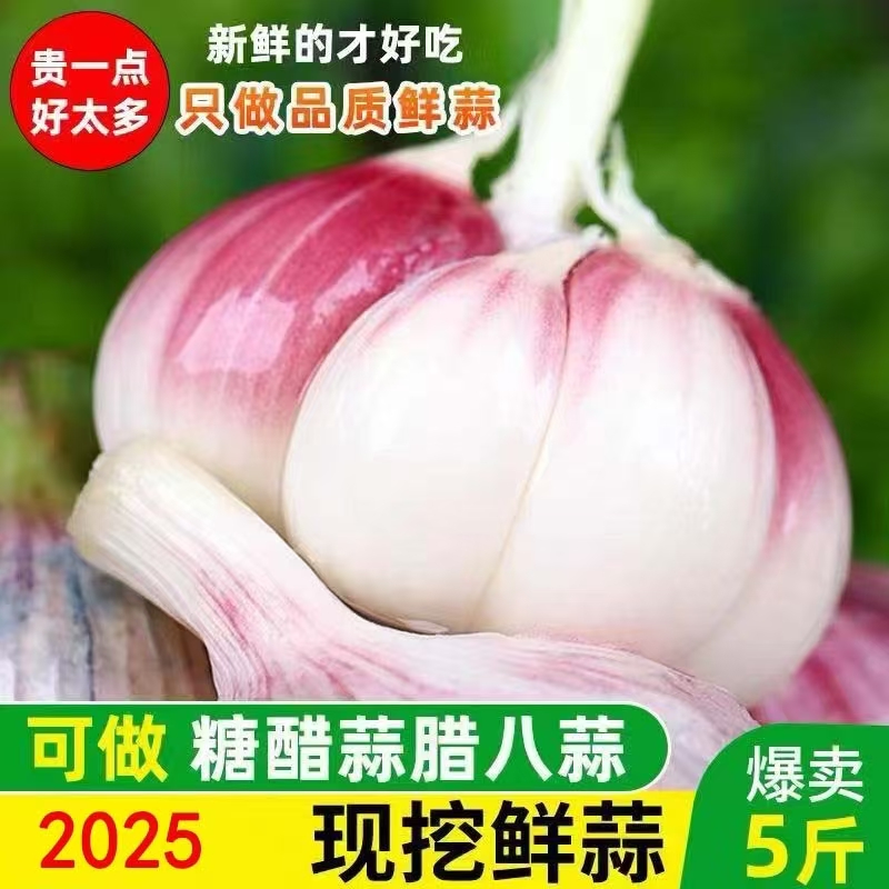新鲜大蒜头现挖鲜蒜腌糖蒜四六瓣