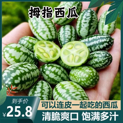 特色西瓜新鲜红绿水果现摘包邮