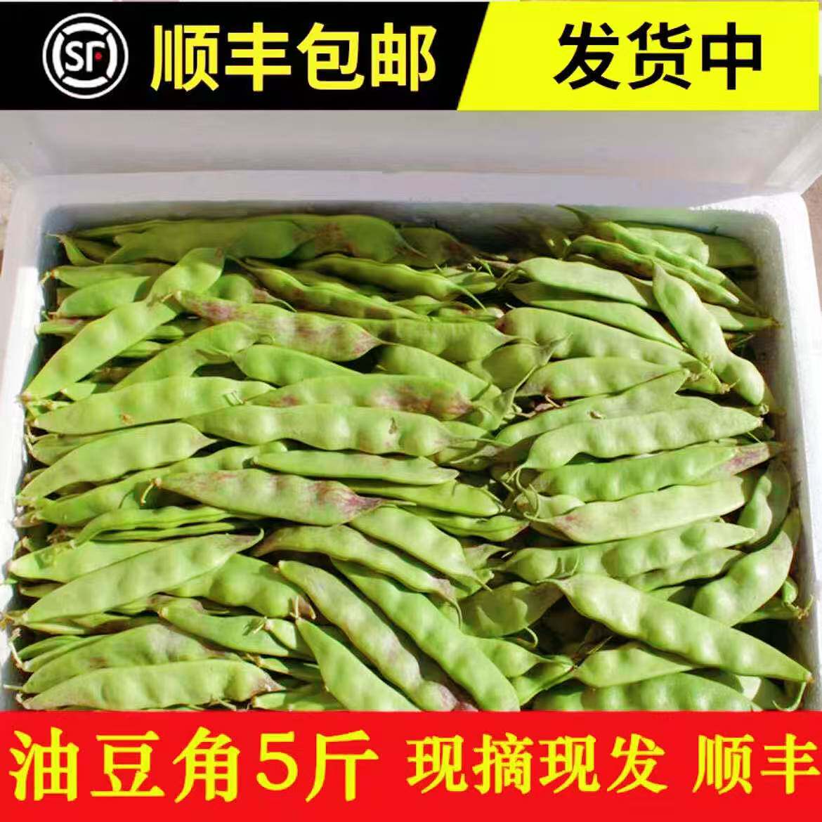 正宗东北一点红油豆角顺丰包邮图片