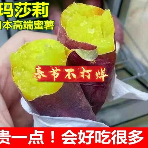 单念玛莎莉日本沙地黄金蜜薯红薯