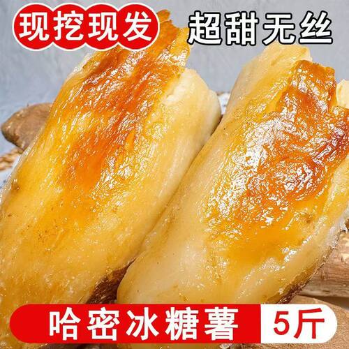 山东新鲜现挖哈密红薯