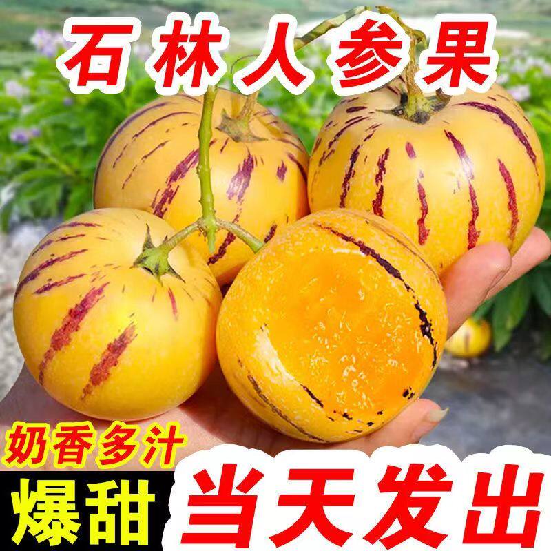【树上熟】云南石林人参果熟果圆果黄心黄肉当季应季新鲜水果整箱