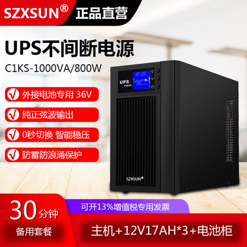 服务器电脑在线式UPS不间断电源1KVA800W C1KS 30分钟延时套餐