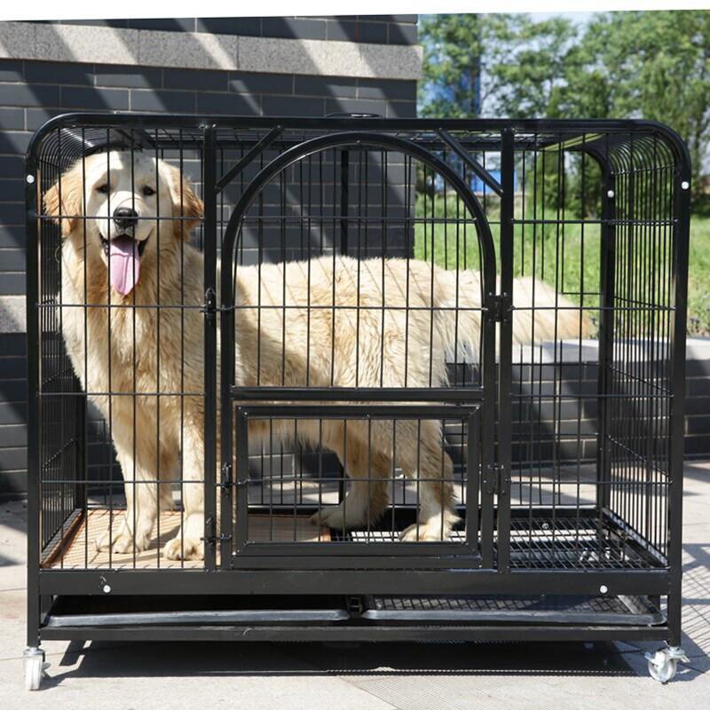 边牧笼子中型犬大号萨摩布v拉多犬金厕所宠物毛拉狗带大型狗笼室