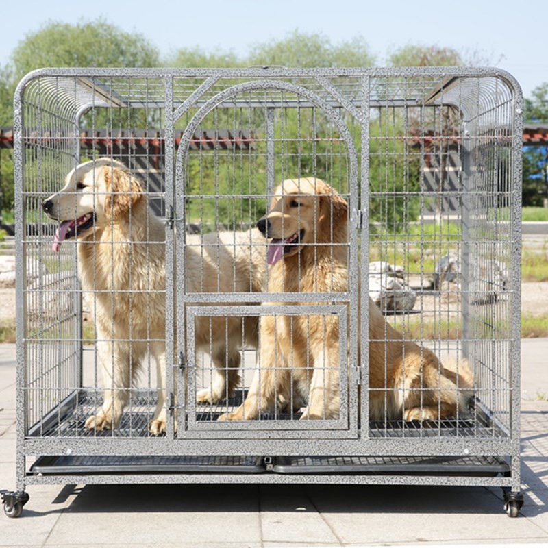 边牧笼子中型犬大号萨摩布拉多犬金厕所宠物毛拉狗带大型狗笼室内
