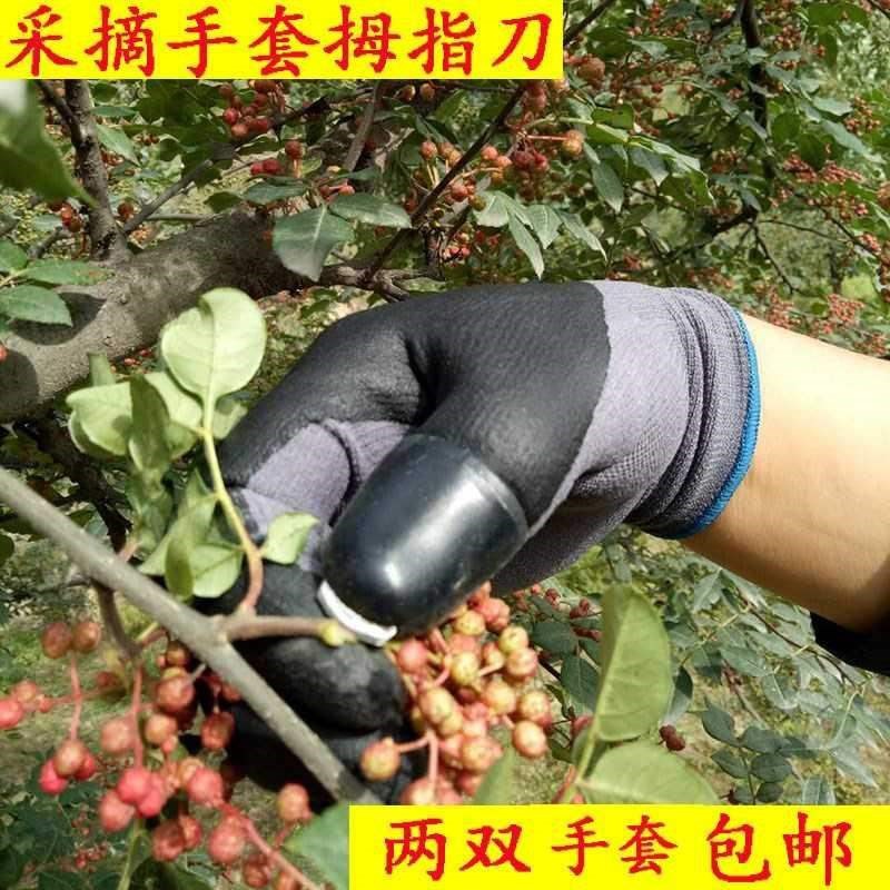 摘花椒的手套带指甲摘花椒专用神器掐花椒防划伤桑叶采摘器摘花椒