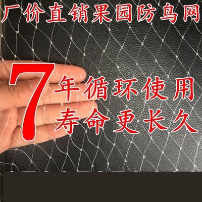 细大棚小孔乌纱网保护网梨树防护网啄网罩枣尼龙绳谷子防鸟网网子