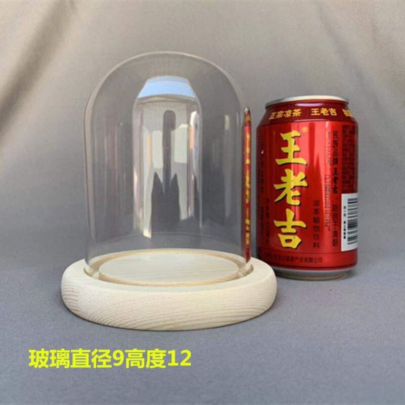 礼品家居七夕情人节花房模型玻璃罩防尘罩手模展示罩闺蜜送女友