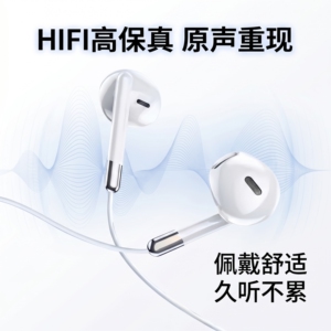 通用耳机适用于vivo华为小米OPPO带麦K歌入耳式重低音Type-c手机