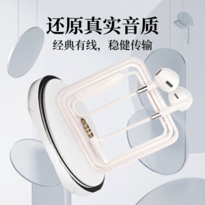 耳机typec接口入耳式高品质重低音适用于华为小米OPPOvivo通用K歌