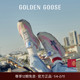 GGDB Goose男女浅色Marathon运动休闲跑鞋 马拉松新色 Golden