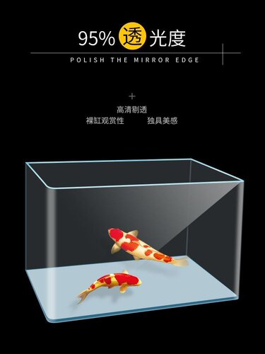 金鱼缸60价格 金鱼缸60图片 星期三 金鱼缸60价格 金鱼缸60图片 星期三