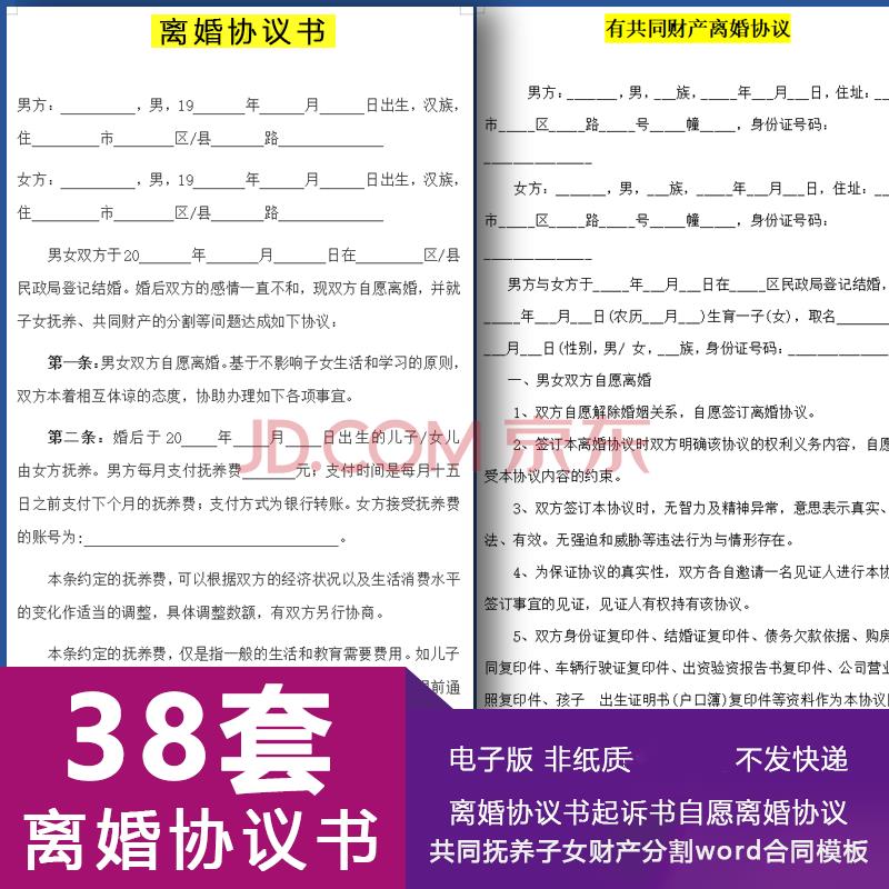 离婚协议书起诉书自愿离婚协议共同抚养子女财产分割文件word模板