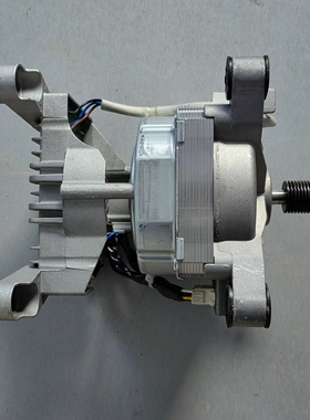 小天鹅洗衣机 TG100V23WDY/4553DY 电机马达 ZXGN-420-8-170L