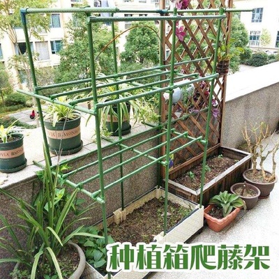 。无花果爬藤架花架户外庭院龙眼萄葡架吊兰瓜藤植物爬架蔬菜室内