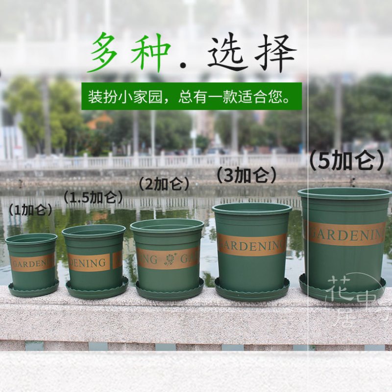 阳台种植简约塑料花盆1加仑盆2加仑盆种菜种花盆玫瑰月季深口花盆 鲜花速递/花卉仿真/绿植园艺 花盆 原图主图