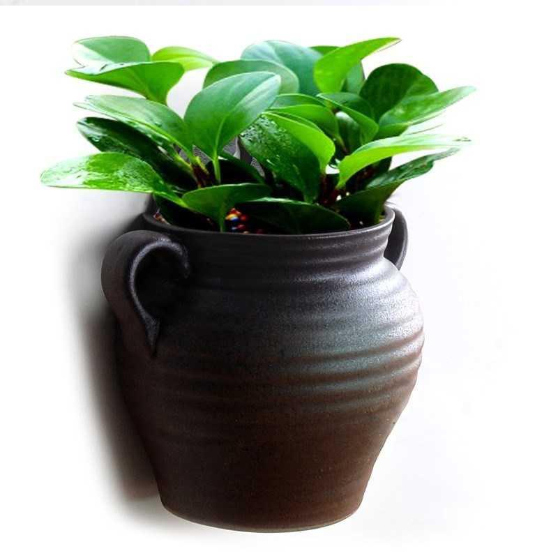 极速壁挂式室内吊兰盆墙挂陶x瓷吊墙花盆悬挂免打孔艺术粗陶罐美