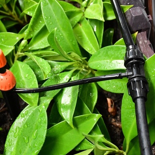 农田灌水浇水管草坪果园喷灌系统多孔果树大棚新款菜地渗灌便捷