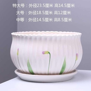 20cm中等托盘口径25厘米清新仙人球小植物芦荟绿萝花盆阳台