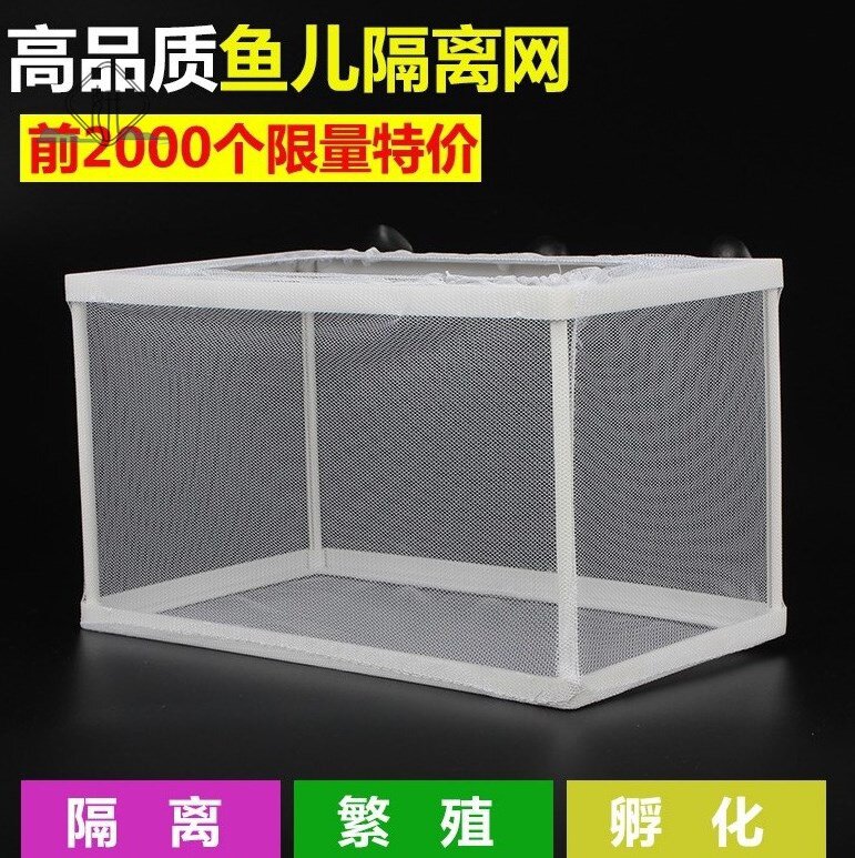 速发鱼缸隔离盒保护迷浮网小鱼苗鱼鹦鹉虎苗悬你产卵宝小型宝鱼式