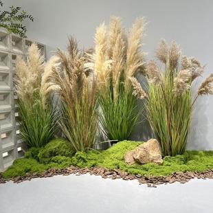 仿真天然芦苇干花室内橱窗绿植造景装饰景观植物芦苇草堆插花摆件