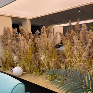 天然秋色芦苇干花枯草室内景观造景北欧ins风假植物橱窗落地摆件
