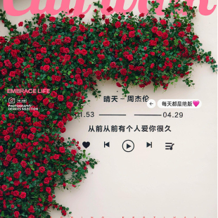 饰景区拍照打卡墙庭院阳台管道缠绕花艺 仿真玫瑰花藤网红背景墙装