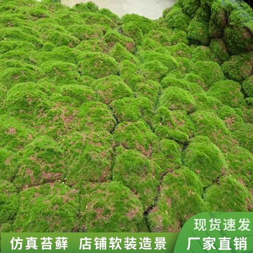 仿真苔藓青苔草皮微景观植物造景